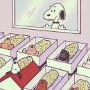 [15. 입원실기록2] 대구더블유여성병원 제왕절개후기 2~3일차