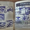 천혜의 아름다운 제주 자전거길 완주 이미지