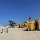 나인비치37 이미지