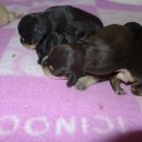 수원-이의-이의-07 이미지