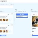 초등 엔트리 교실 이미지