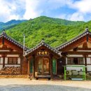 영주 비로사 아미타후불탱화 이미지