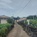 시흥상동로 이미지