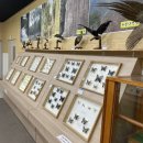 순창어린이집 | 순창 회문산 자연휴양림 숲체험교실 후기