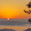 은행나무민박 이미지