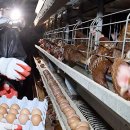 김재훈농장 이미지