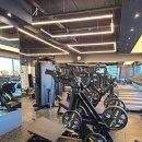 헬린이짐 이미지