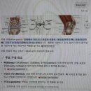 생활스포츠지도사2급 보디빌딩 실기구술 당일 후기