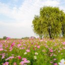 생태공원 정문 이미지