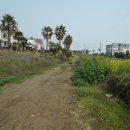 제주토지공인중개사사무소 이미지