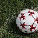 OK스포츠 - 성남시 분당구 장미로122번길 3-1 | OK스포츠