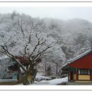 서악사 - 1025 | 서악사