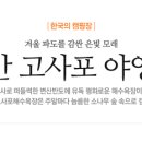 은빛모래야영장 이미지