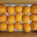 광택농장 이미지