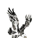 한국산텐제약(주) 이미지