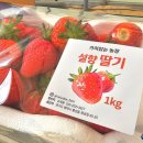 세용농장 이미지