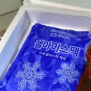 수연마트 | [여수 돌산수연갓김치] 빠른 배송이 가능한 국내산 재료로만 만든 전라도 여수 갓김치 1kg 주문후기!