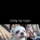 삼산종합동물병원 이미지