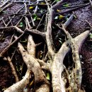 삐삐슈퍼 이미지