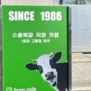 밀크컨셉 - 관악구 봉천로 283-1 | 밀크컨셉