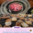 돈돼지구이전문점 | 우도 현지인 흑돼지 맛집 참숯에 굽는 우도돈돼지 내돈내산