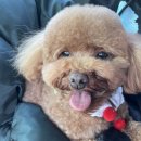 멍스라이프 이미지