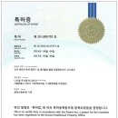 디오셀