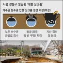 서울명일초등학교 이미지