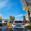 새롬동무지개타워앞 | 251115 서울가볼만한곳 남산타워 단풍 절정 소식(남산타워케이블카 왕복 이용후기)