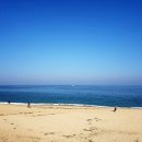 바다정원 - 거제시 송곡1길 38 | 바다정원