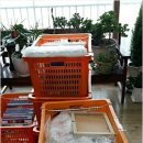 용평3길 이미지