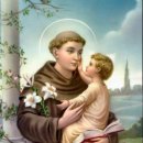 너희는 세상의 빛이다.(6월 13일 파도바의 성 안토니오 사제 학자 기념일) 이미지
