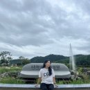 태화강맞이 종합편의점 | 누리피크닉페스티벌, 여의도불꽃축제 노량진축구장 후기, 달빛뮤직크루즈, 울산여행:대왕암공원, 태화강...