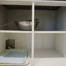 스파펜션엘라고 이미지