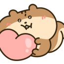 그릭홀릭포케 이미지