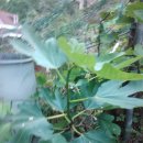 거명농장 이미지