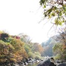 JIRI VALLEY 이미지