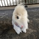이게PC방이다 | 새벽 3시에 짜계치사진보고 미쳐서 설레임파티 다녀온 후기