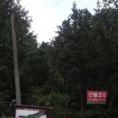 고산사목조석가모니불좌상 이미지