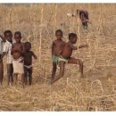 에버그린 유치원 이미지