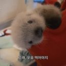 현숙이네 이미지