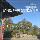 (임당2리)명포습지 | [11월 월간청도] 가을의 끝자락 늦가을 위에서 천천히 걷는 청도
