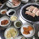 시코르엘에프