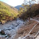 혜란농장 이미지