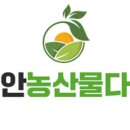 안면도농산 이미지