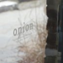 어니언(ONION) 이미지
