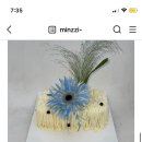시오레 이미지