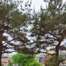 26.5.26 최동석 오팔몬 현진이선물 여주쌀2K 63선거벽보 이미지