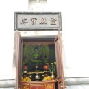 바니사 이미지
