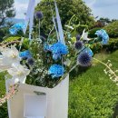 SH24효천대방점 | [풍요로화] 전주 어버이날 부부의날 기념일 꽃다발 꽃바구니 추천 💐ㅣ내돈내산ㅣ전주 현지인 찐 추천...